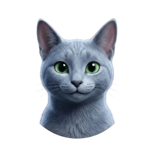 Gato