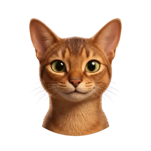 Avatar de Lilo