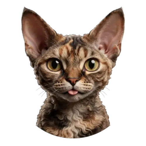 Avatar de Ralf