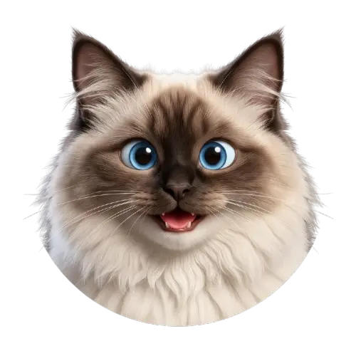 Avatar de Tango