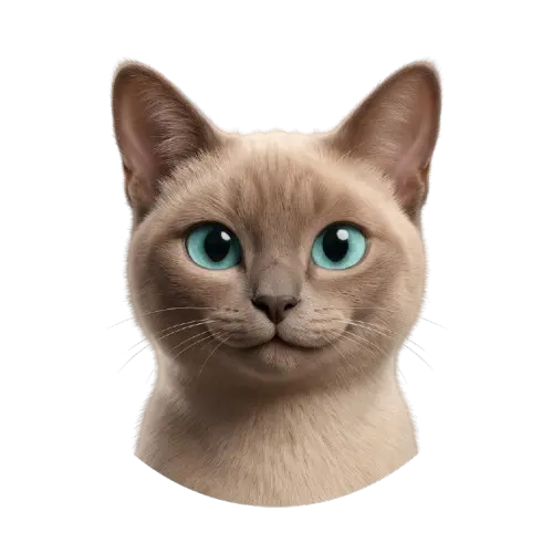 Avatar de Káiser