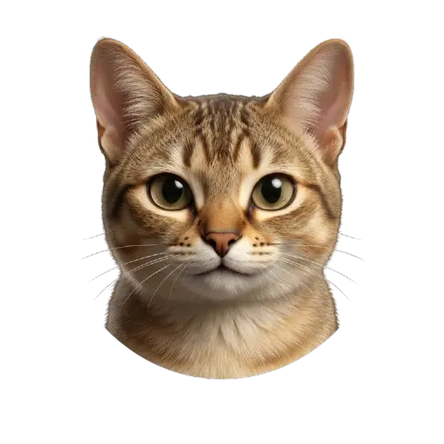 Avatar de Ron