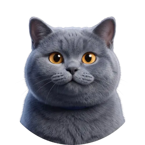 Avatar de Dora