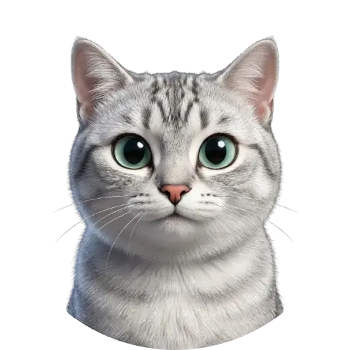 Avatar de Xispa