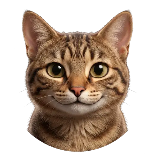 Avatar de Dandy